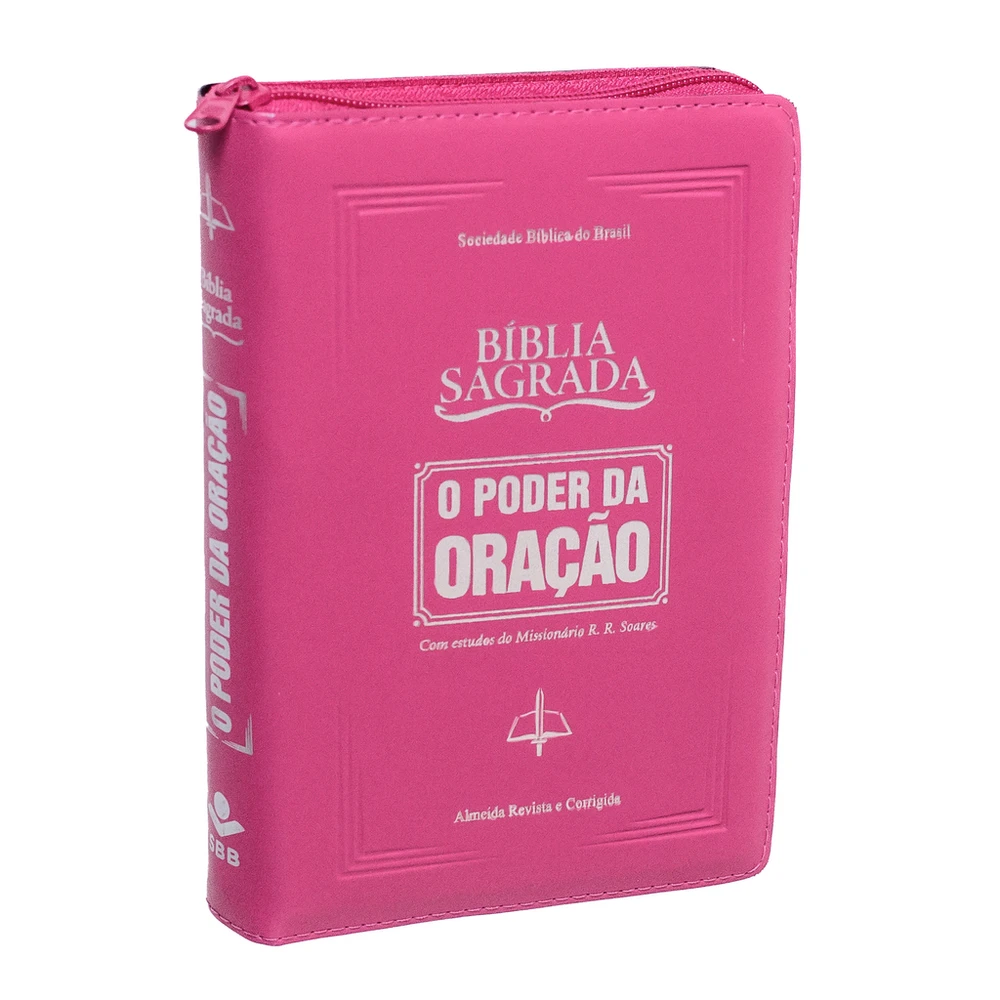 Bíblia Sagrada - O poder da oração Pink