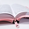 Bíblia Sagrada - O poder da oração Rosa
